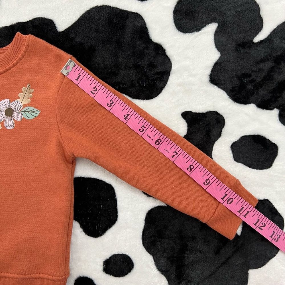 Baby Girl Fall Outfit Set 18 months - Picture 5 of 11